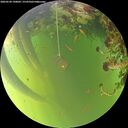 ./images/calvert/underwater/20260520/underwater20260520_190001M.jpg