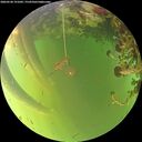 ./images/calvert/underwater/20260520/underwater20260520_191001M.jpg