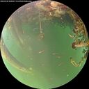 ./images/calvert/underwater/20260520/underwater20260520_200001M.jpg