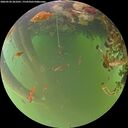 ./images/calvert/underwater/20260520/underwater20260520_201001M.jpg