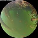 ./images/calvert/underwater/20260520/underwater20260520_202002M.jpg