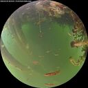 ./images/calvert/underwater/20260520/underwater20260520_203501M.jpg