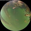 ./images/calvert/underwater/20260520/underwater20260520_204501M.jpg
