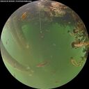 ./images/calvert/underwater/20260520/underwater20260520_205002M.jpg