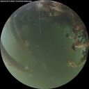 ./images/calvert/underwater/20260520/underwater20260520_213002M.jpg