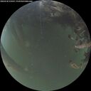 ./images/calvert/underwater/20260520/underwater20260520_214501M.jpg