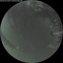 ./images/calvert/underwater/20260520/underwater20260520_215501M.jpg