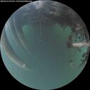 ./images/calvert/underwater/20260521/underwater20260521_051501M.jpg