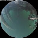./images/calvert/underwater/20260521/underwater20260521_052001M.jpg