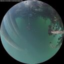 ./images/calvert/underwater/20260521/underwater20260521_053501M.jpg