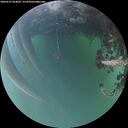 ./images/calvert/underwater/20260521/underwater20260521_054001M.jpg