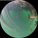 ./images/calvert/underwater/20260521/underwater20260521_062001M.jpg