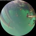 ./images/calvert/underwater/20260521/underwater20260521_062501M.jpg