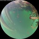 ./images/calvert/underwater/20260521/underwater20260521_063001M.jpg
