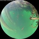 ./images/calvert/underwater/20260521/underwater20260521_064001M.jpg