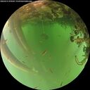 ./images/calvert/underwater/20260521/underwater20260521_070501M.jpg