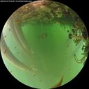 ./images/calvert/underwater/20260521/underwater20260521_071001M.jpg