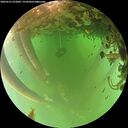 ./images/calvert/underwater/20260521/underwater20260521_072001M.jpg