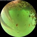 ./images/calvert/underwater/20260521/underwater20260521_073501M.jpg