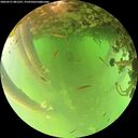 ./images/calvert/underwater/20260521/underwater20260521_081501M.jpg