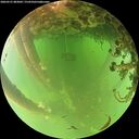 ./images/calvert/underwater/20260521/underwater20260521_083001M.jpg