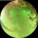 ./images/calvert/underwater/20260521/underwater20260521_090501M.jpg