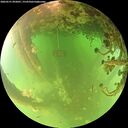 ./images/calvert/underwater/20260521/underwater20260521_092001M.jpg