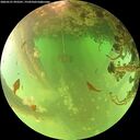 ./images/calvert/underwater/20260521/underwater20260521_092502M.jpg