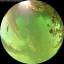 ./images/calvert/underwater/20260521/underwater20260521_094002M.jpg