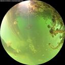 ./images/calvert/underwater/20260521/underwater20260521_094501M.jpg