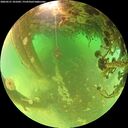./images/calvert/underwater/20260521/underwater20260521_101001M.jpg