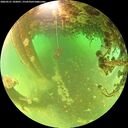 ./images/calvert/underwater/20260521/underwater20260521_102001M.jpg