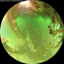./images/calvert/underwater/20260521/underwater20260521_102501M.jpg