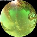 ./images/calvert/underwater/20260521/underwater20260521_104002M.jpg