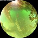 ./images/calvert/underwater/20260521/underwater20260521_104501M.jpg