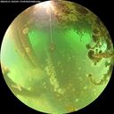 ./images/calvert/underwater/20260521/underwater20260521_105501M.jpg