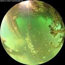 ./images/calvert/underwater/20260521/underwater20260521_110501M.jpg