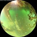 ./images/calvert/underwater/20260521/underwater20260521_111001M.jpg