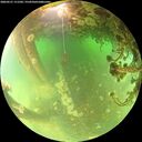 ./images/calvert/underwater/20260521/underwater20260521_111501M.jpg