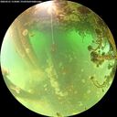 ./images/calvert/underwater/20260521/underwater20260521_112001M.jpg