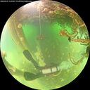 ./images/calvert/underwater/20260521/underwater20260521_112501M.jpg