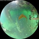 ./images/calvert/underwater/20260521/underwater20260521_113501M.jpg