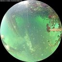 ./images/calvert/underwater/20260521/underwater20260521_114002M.jpg