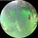 ./images/calvert/underwater/20260521/underwater20260521_115001M.jpg