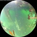 ./images/calvert/underwater/20260521/underwater20260521_115501M.jpg