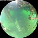 ./images/calvert/underwater/20260521/underwater20260521_120001M.jpg