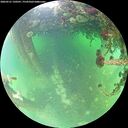 ./images/calvert/underwater/20260521/underwater20260521_120502M.jpg