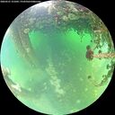 ./images/calvert/underwater/20260521/underwater20260521_121001M.jpg