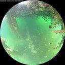 ./images/calvert/underwater/20260521/underwater20260521_121501M.jpg