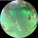 ./images/calvert/underwater/20260521/underwater20260521_123001M.jpg